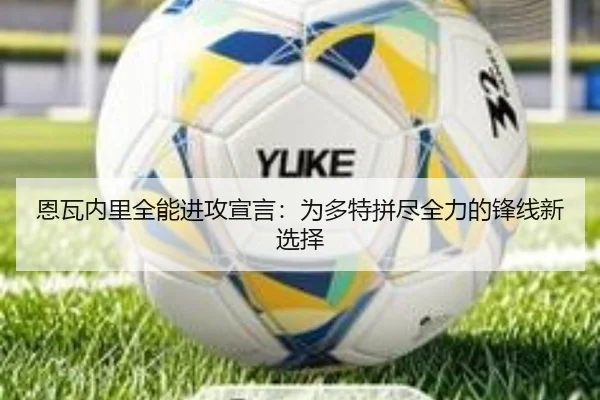 恩瓦内里全能进攻宣言:为多特拼尽全力的锋线新选择